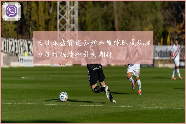 戈贝尔盛赞道苏姆加盟球队展现活力与对抗精神引发期待