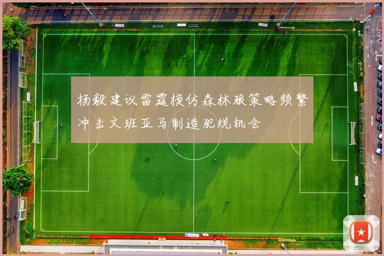 杨毅建议雷霆模仿森林狼策略频繁冲击文班亚马制造犯规机会