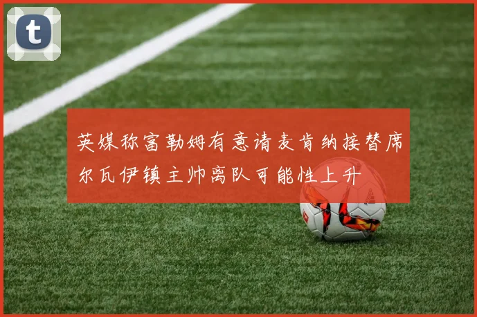 英媒称富勒姆有意请麦肯纳接替席尔瓦伊镇主帅离队可能性上升