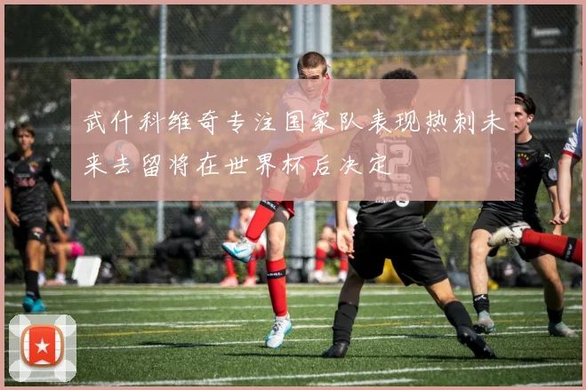 武什科维奇专注国家队表现热刺未来去留将在世界杯后决定